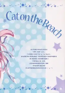 Cat on the Beach, 中文