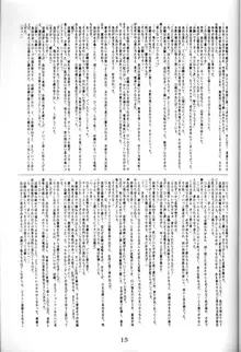 詩織の壺, 日本語