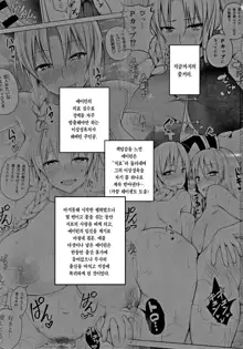 P-Cup Eirin ga Muramura Suru Hanashi | P 컵 에이린이 유혹하는 이야기, 한국어