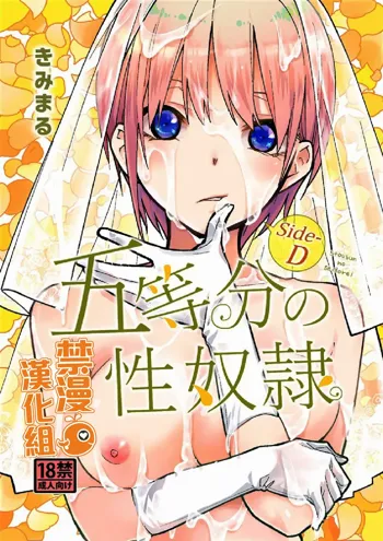 Gotoubun no Seidorei Side-D, 中文