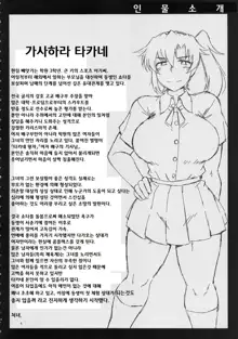 Anetorare ~Boku no Daisuki na Onee-chan ga Aitsu ni Ubawareta Hanashi~, 한국어