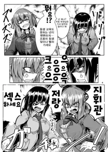 Happy New Year! Shikikan-sama! Springfield & M16A1, 한국어