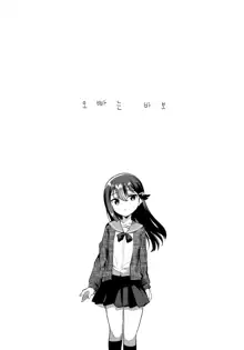 Onii-chan wa Baka | 오빠는 바보, 한국어