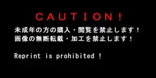 もし怪盗団が快楽堕ちしてしまったら!?, 日本語