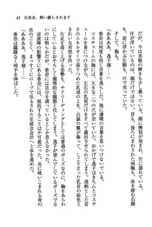 デルタリング3 生徒会の恥ずかしすぎるパレード, 日本語