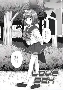 Love Sex, 日本語