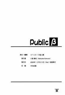 Public ベータ, 日本語