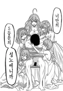 Gotoubun no Seidorei Side-D | 오등분의 성노예 Side-D, 한국어