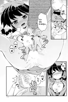 Koi no Tsurizao de Tsurarete Shimata Ranma ga Ryouga to Nyan Nyan suru Manga  | 사랑의 낚시대에 끌려버린 란마와 료가만화, 한국어