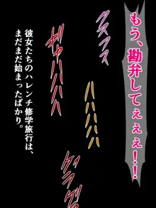 どんなエッチな内容でも修学旅行のしおりには絶対逆らえない古手川さんと春菜ちゃん, 日本語