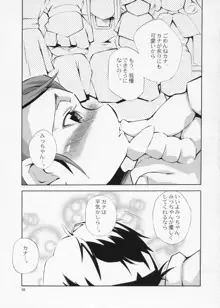 ある日、我慢できなくなったみっちゃんがカナとニャンニャンするというような妄想をマンガにした本。, 日本語