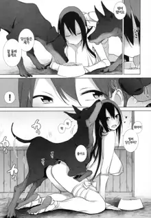 Sanzou-chan to Uma to Inu to Buta | 삼장 쨩과 말 이랑 개랑 돼지, 한국어