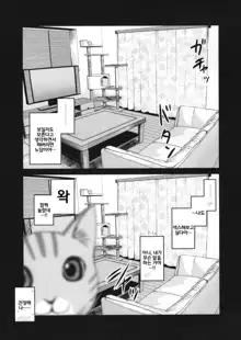 Pet Mimamori Camera ni Ane to Otouto no Sex ga Utsutteta. | 펫 관찰 카메라에 언니와 남동생의 섹스가 찍히고 있었다。, 한국어