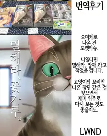 Pet Mimamori Camera ni Ane to Otouto no Sex ga Utsutteta. | 펫 관찰 카메라에 언니와 남동생의 섹스가 찍히고 있었다。, 한국어