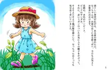 なっちゃんとくすぐり妖精, 日本語