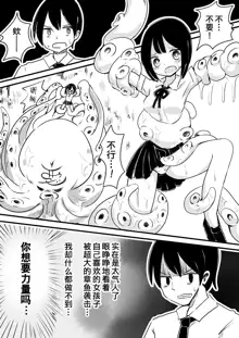 Mahou Shoujo Estrogia & Mahou Shoujo Gestagenia, 中文