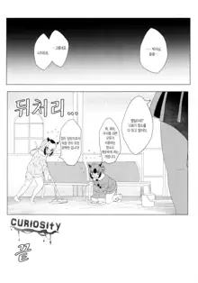 CURIOSITY, 한국어