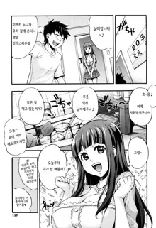 Rika no Kenkyuushitsu ~Chiteki na Rikeijo no Seitai~ | 리카의 연구실 ~바보 같은 이과녀의 생태~, 한국어