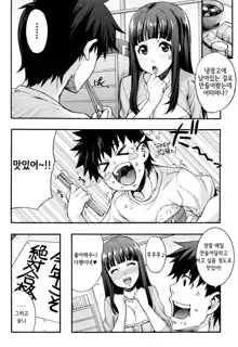 Rika no Kenkyuushitsu ~Chiteki na Rikeijo no Seitai~ | 리카의 연구실 ~바보 같은 이과녀의 생태~, 한국어