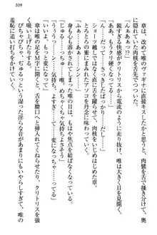 おとまりせっくす 家族旅行、兄妹の秘密, 日本語