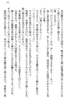 おとまりせっくす 家族旅行、兄妹の秘密, 日本語