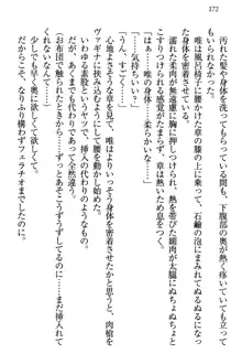 おとまりせっくす 家族旅行、兄妹の秘密, 日本語