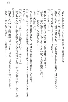 おとまりせっくす 家族旅行、兄妹の秘密, 日本語