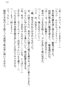 おとまりせっくす 家族旅行、兄妹の秘密, 日本語