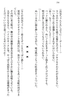 おとまりせっくす 家族旅行、兄妹の秘密, 日本語