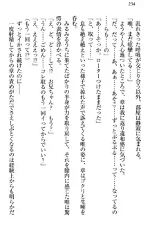 おとまりせっくす 家族旅行、兄妹の秘密, 日本語