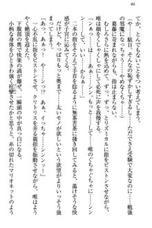 おとまりせっくす 家族旅行、兄妹の秘密, 日本語