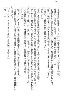 おとまりせっくす 家族旅行、兄妹の秘密, 日本語