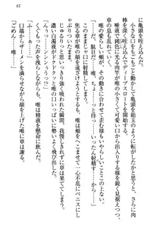 おとまりせっくす 家族旅行、兄妹の秘密, 日本語