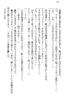 おとまりせっくす 家族旅行、兄妹の秘密, 日本語