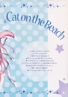 Cat on the Beach, English