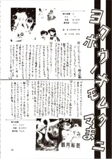 観月秘艶 VOL.6, 日本語