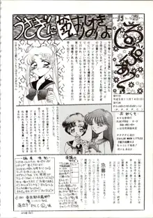 観月秘艶 VOL.6, 日本語