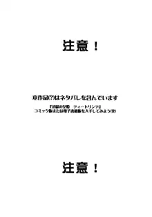 ディートリンデ追憶記, 日本語