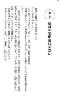 奴隷志願なエルフさん～お買い上げありがとうございます、ご主人様!～, 日本語