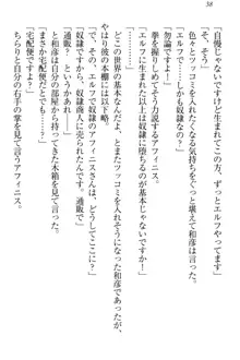 奴隷志願なエルフさん～お買い上げありがとうございます、ご主人様!～, 日本語