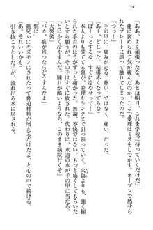 生徒会長・愛ヶ淵愛理はマゾられたい Mな幼なじみと特別補習, 日本語