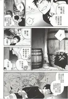 Final Fantasy Lost Stranger Ch.09, 中文