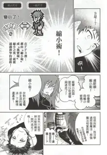 Final Fantasy Lost Stranger Ch.09, 中文