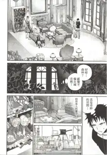 Final Fantasy Lost Stranger Ch.09, 中文