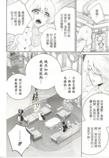 Final Fantasy Lost Stranger Ch.09, 中文