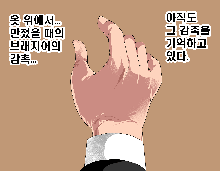 Saimin Seikyouiku 3, 한국어