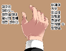 Saimin Seikyouiku 3, 한국어