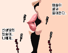 Saimin Seikyouiku 3, 한국어