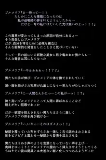 私たち召喚士様に売られてしまいました!?, 日本語