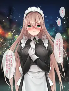 Da-maid-san wa Aisaretai!, 中文